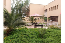 البوم۱